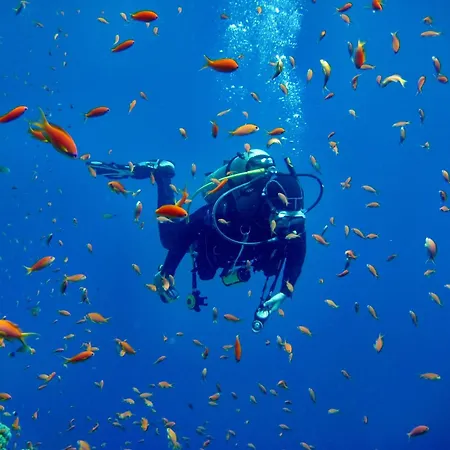 Parc Residentiel La Listra - Maeva Camping *