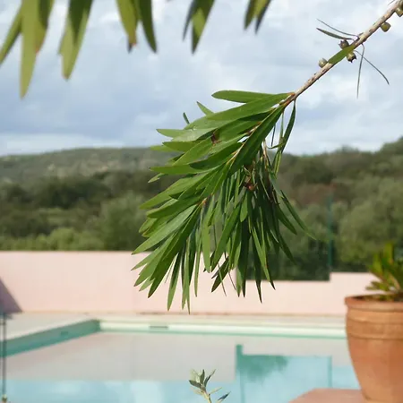 Camping Parc Residentiel La Listra - Maeva Belgodère