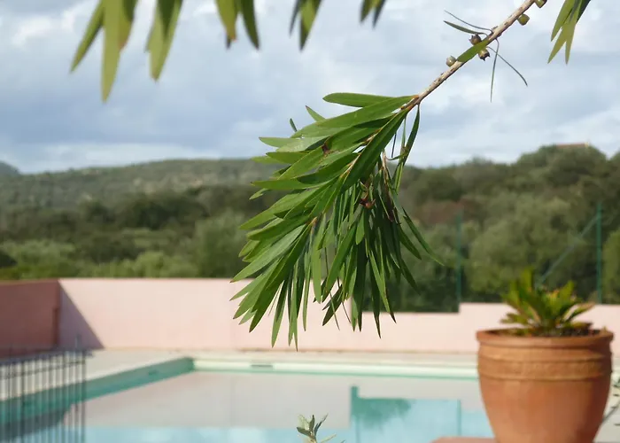 Campsite Parc Residentiel La Listra - Maeva Belgodere (Corsica)